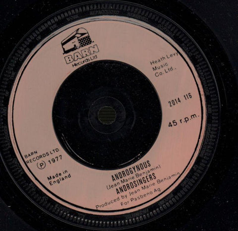 Androgynous Sound-Barn-7" Vinyl-VG/Ex