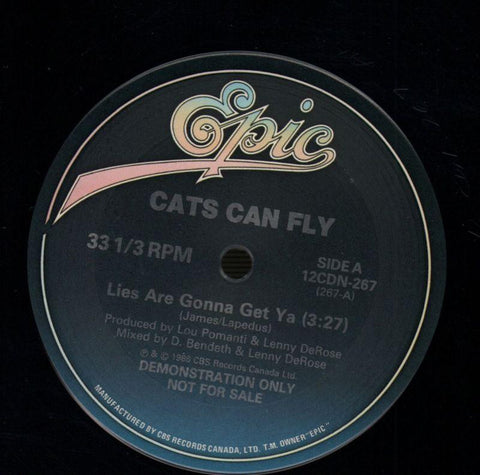 Lies Are Gonna Get Ya-Epic-12" Vinyl-Ex/NM