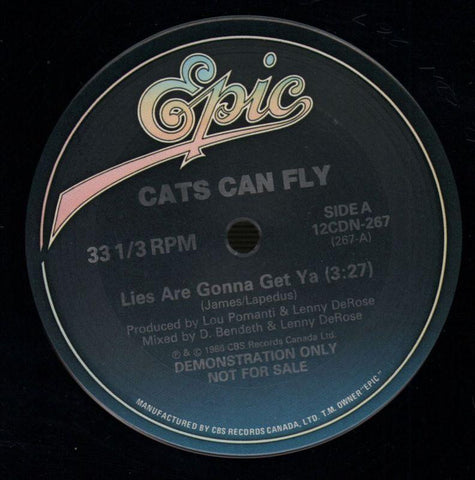 Cats Can Fly-Lies Are Gonna Get Ya-Epic-12" Vinyl