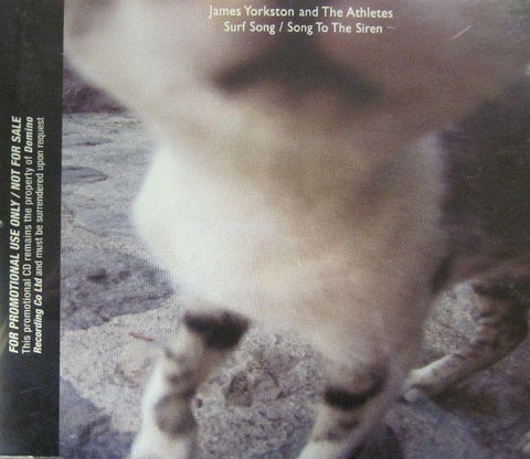 James Yorkston & The Athletes-Surf Song/ Song To The Siren-Domino-CD Single