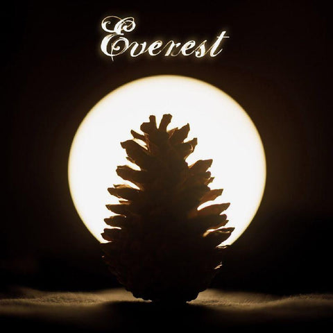 Everest-Ghost Notes-Vapor-CD Album