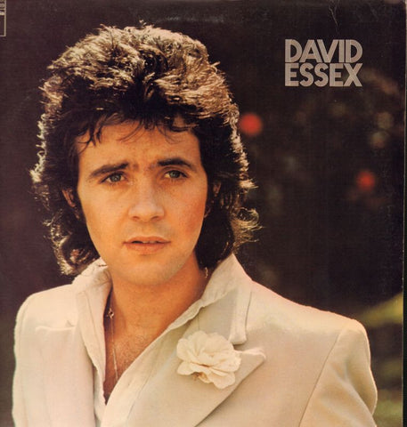 David EssexDavid Essex-Columbia-Vinyl LP-VG/Ex