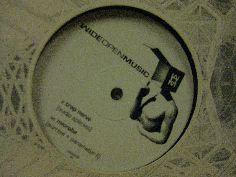 Audio Species-Trap Nerve-Wide Open Music-12" Vinyl