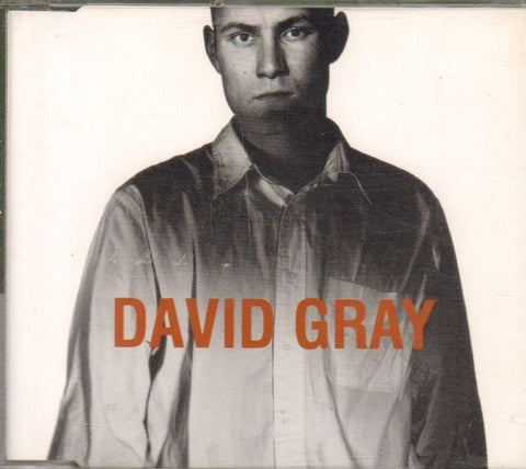 David Gray-Birds Without Wings-CD Album
