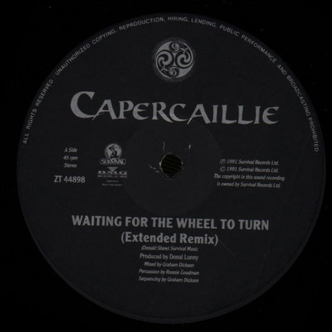 Waiting For The Wheel To Turn-Survival-12" Vinyl-Ex/Ex