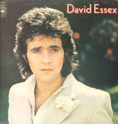 David Essex-David Essex-CBS-Vinyl LP Gatefold