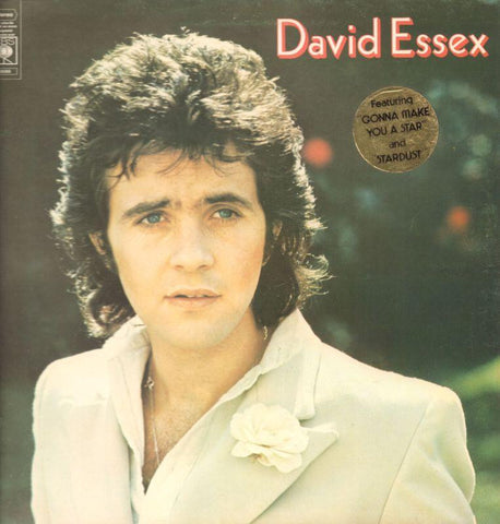 David Essex-David Essex-CBS-Vinyl LP Gatefold