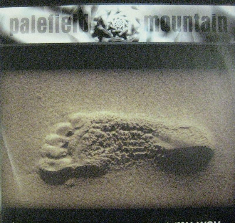 Palefield Mountain-On My Way-Stress Records-12" Vinyl