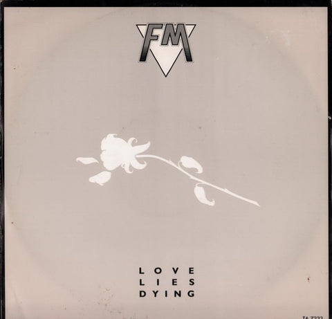 Love Lies Dying-Portrait-12" Vinyl