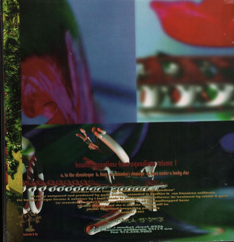 Erections From Namaquadisco Volume 1-Hardkiss-12" Vinyl-M/M