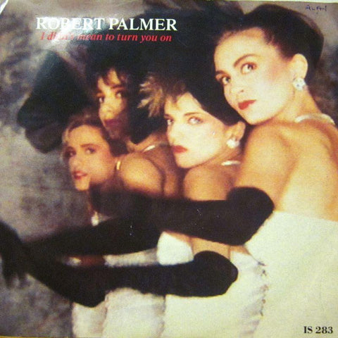 Robert Palmer-I Didn't Mean To Turn You On-7" Vinyl P/S