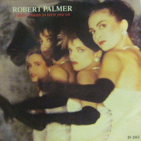 Robert Palmer-I Didn't Mean To Turn You On-7" Vinyl P/S