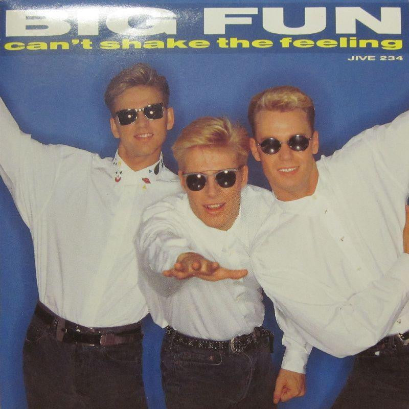 Big Fun-Can't Shake The Feeling-7" Vinyl P/S