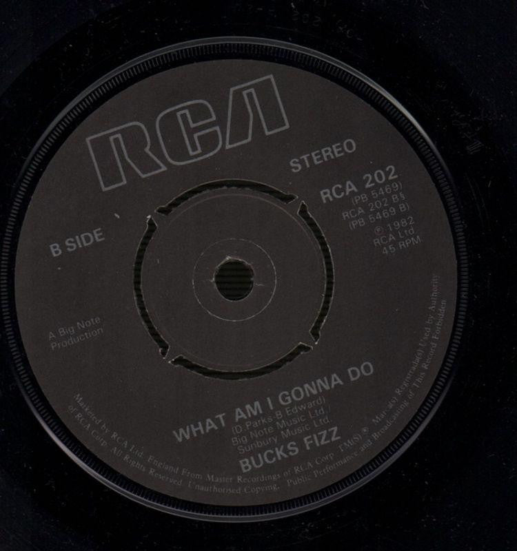 My Camera Never Lies / What Am I Gonna Do-RCA-7" Vinyl-VG/VG