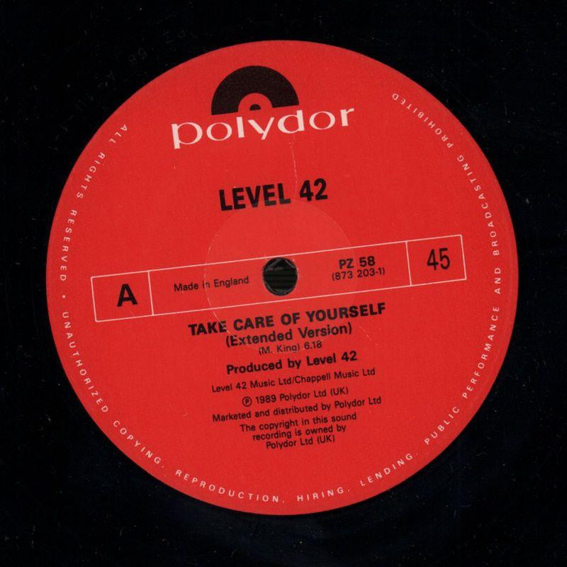 Take Care Of Yourself-Polydor-12" Vinyl P/S-VG/VG+