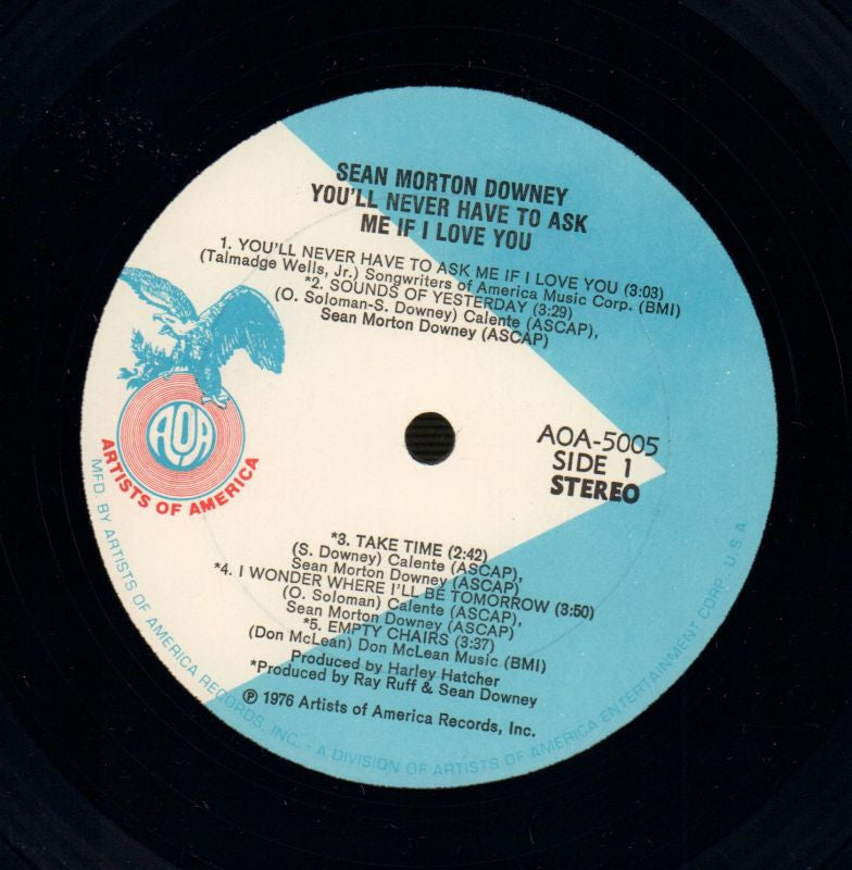 You'll Never Have To Ask Me If I Love You-Artists Of America-Vinyl LP-VG+/Ex