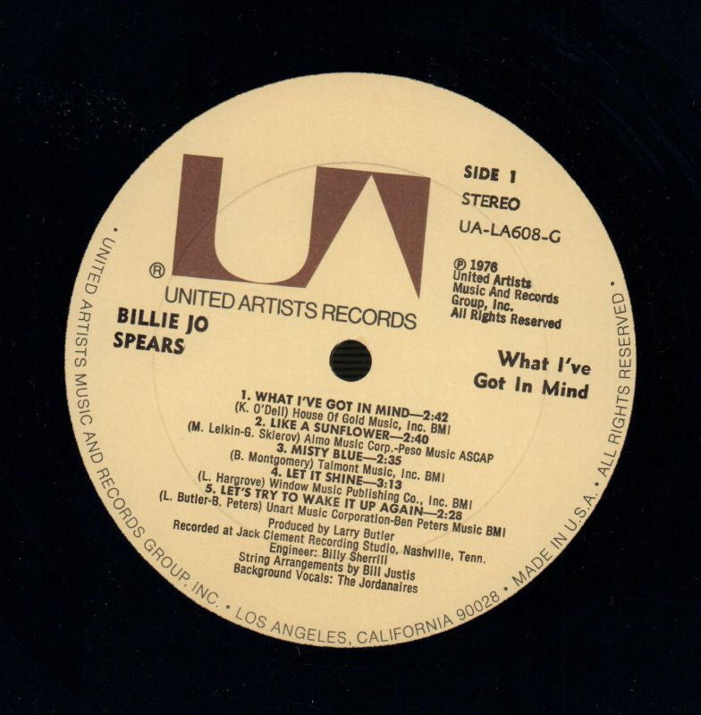 What I've Got In Mind-United Artist-Vinyl LP-VG/VG