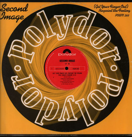 Pinpoint The Feeling-Polydor-12" Vinyl