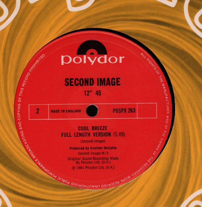 Pinpoint The Feeling-Polydor-12" Vinyl-VG/Ex