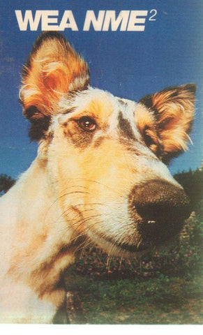 Wea NME2-Cassette