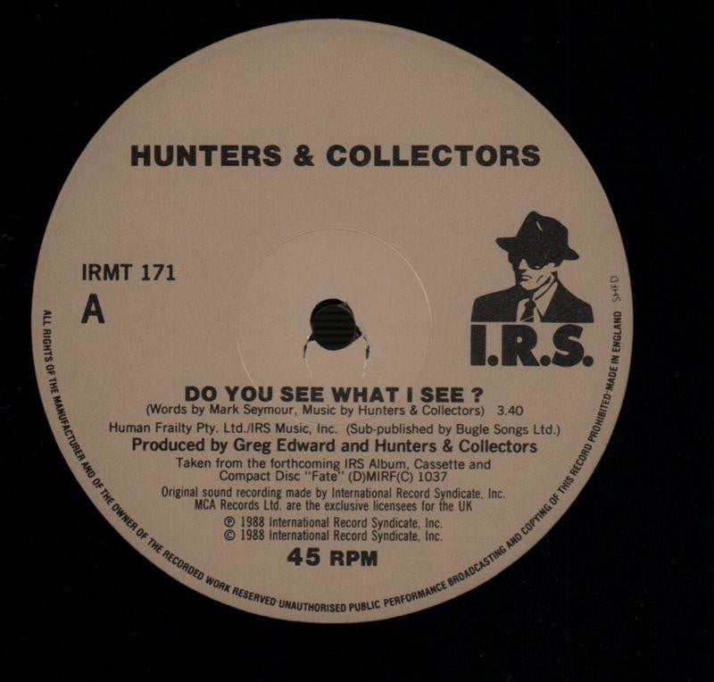 Do You See What I See-IRS-12" Vinyl P/S-VG+/Ex