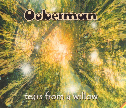 Tears From a Willow-CD Single
