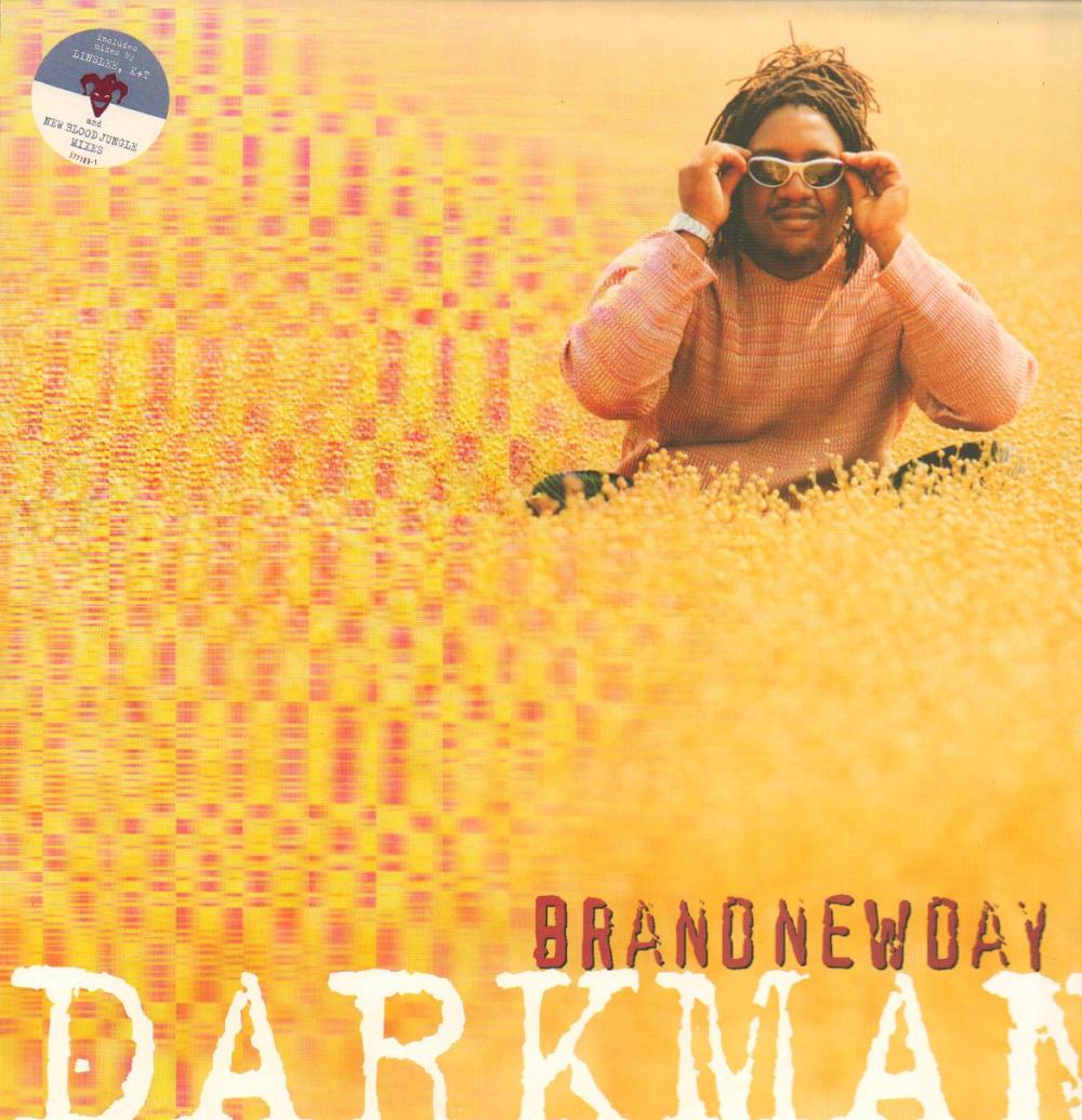 Brand New Day-Polydor-12" Vinyl P/S