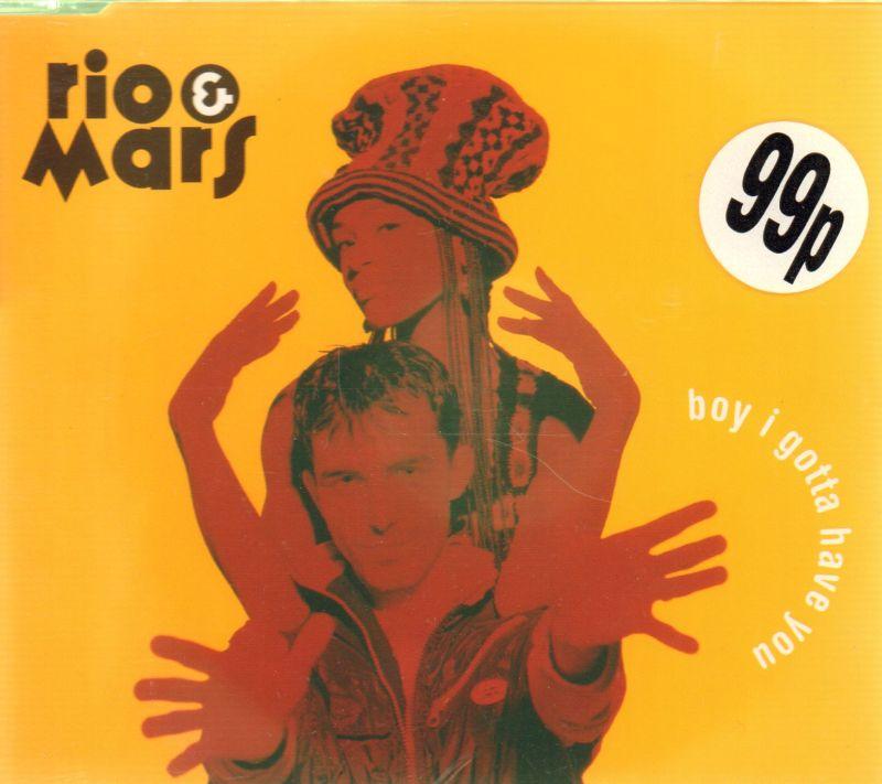 Boy I Gotta Have You-CD Single