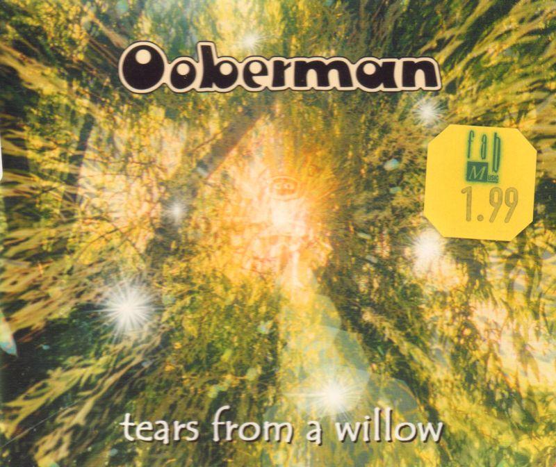 Tears From a Willow-CD Single