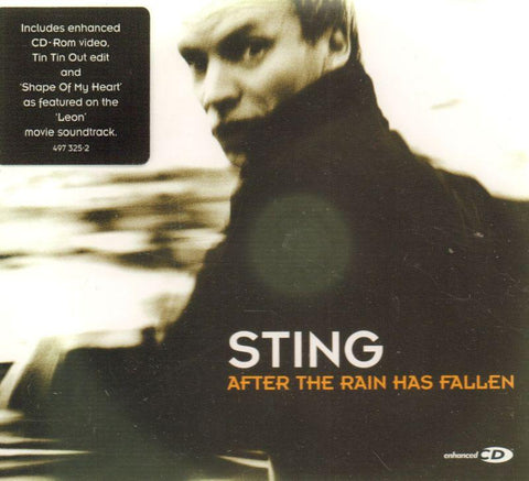 After The Rain Has Fallen CD1-CD Single