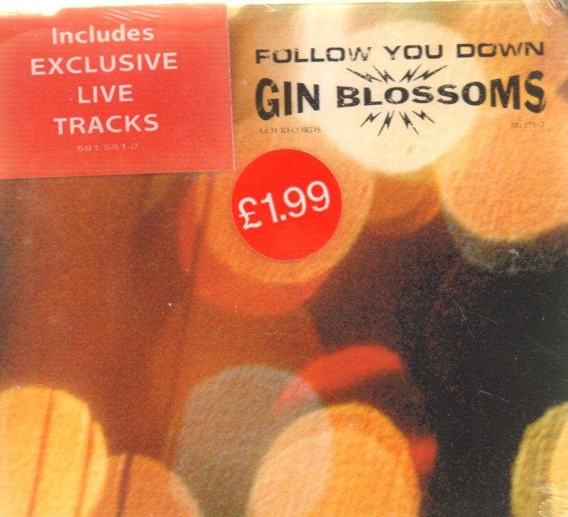 Follow You Down CD2-CD Single