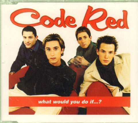 What Would You Do If?-CD Single