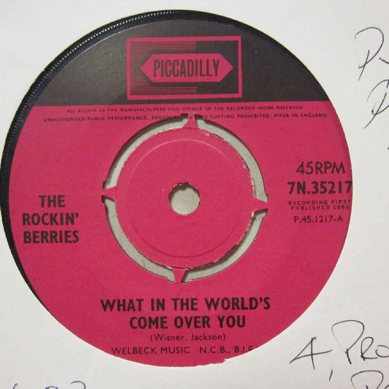 The Rockin' Berries-What In The World's Come Over You/ You Don't Know-Piccadilly-7" Vinyl