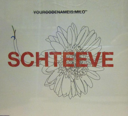 Schteeve-