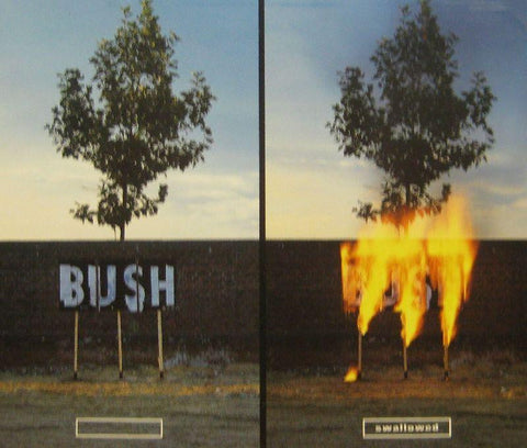 Bush-Swallowed-MCA-CD Single