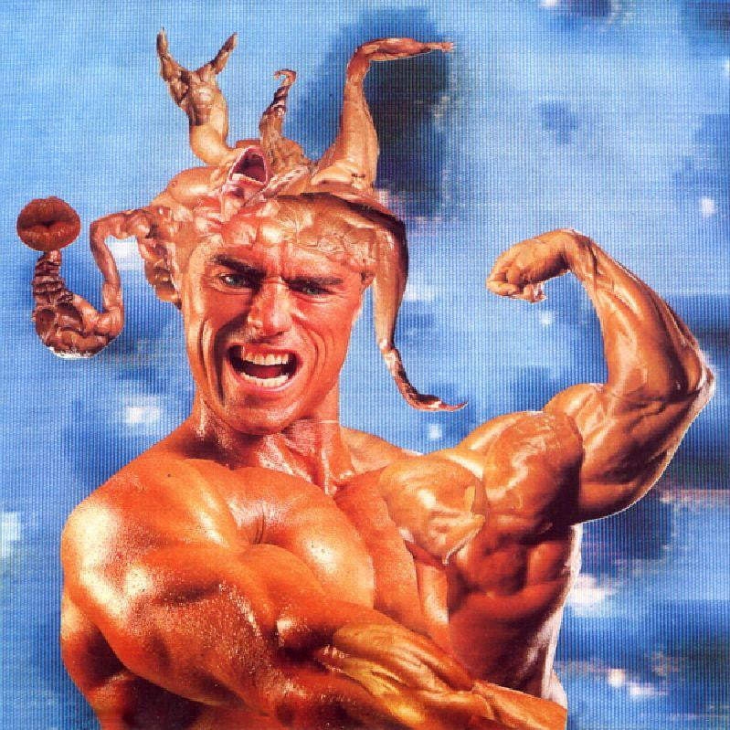 Steroid-Jism Harvester-Clay-CD Album
