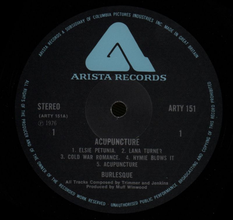 Live Acupuncture-Arista-Vinyl LP-VG/Ex+