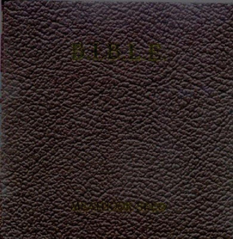 Meathook Seed-BIBLE Basic Instructions Before Leaving Earth-Dreamcatcher-CD Album