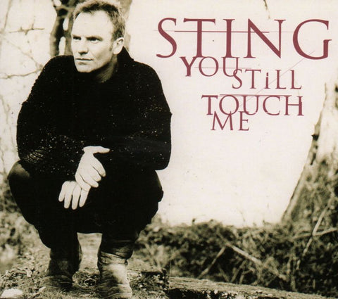 You Still Touch Me-A&M-CD Single