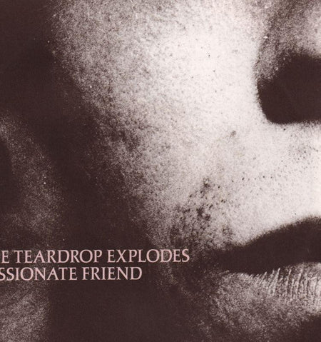 The Teardrop Explodes-Passionate Friend-Mercury-7" Vinyl P/S