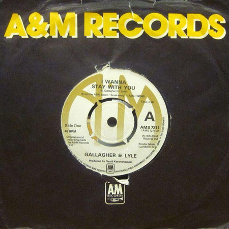 Gallagher And Lyle-I Wanna Stay With You-A & M-7" Vinyl