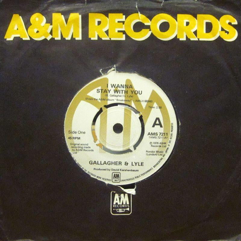 Gallagher And Lyle-I Wanna Stay With You-A & M-7" Vinyl