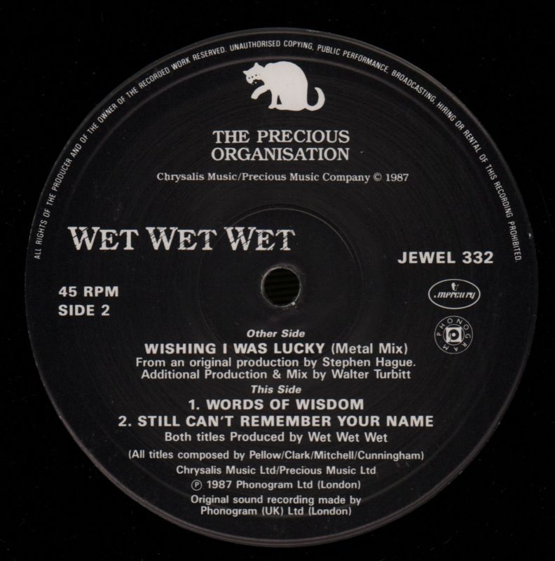 Wishing I Was Lucky-The Precious Organisation-12" Vinyl-VG+/Ex