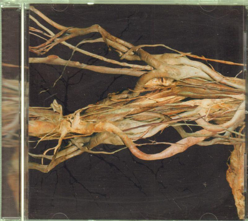 The End-Transfer Trachea Reverberations From Point-CD Album