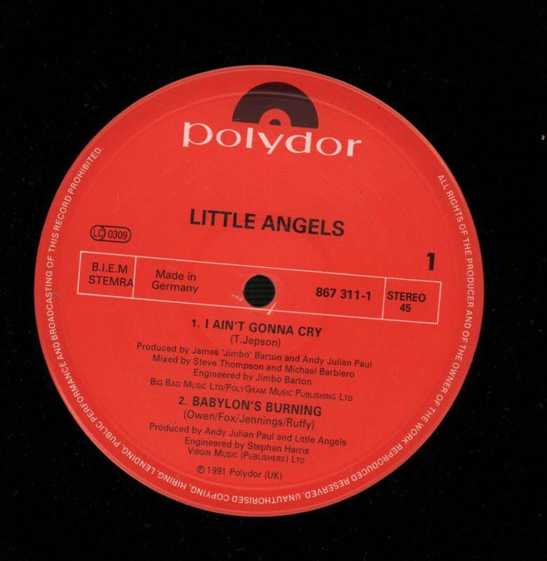 I Ain't Gonna Cry-Polydor-12" Vinyl P/S-VG/VG