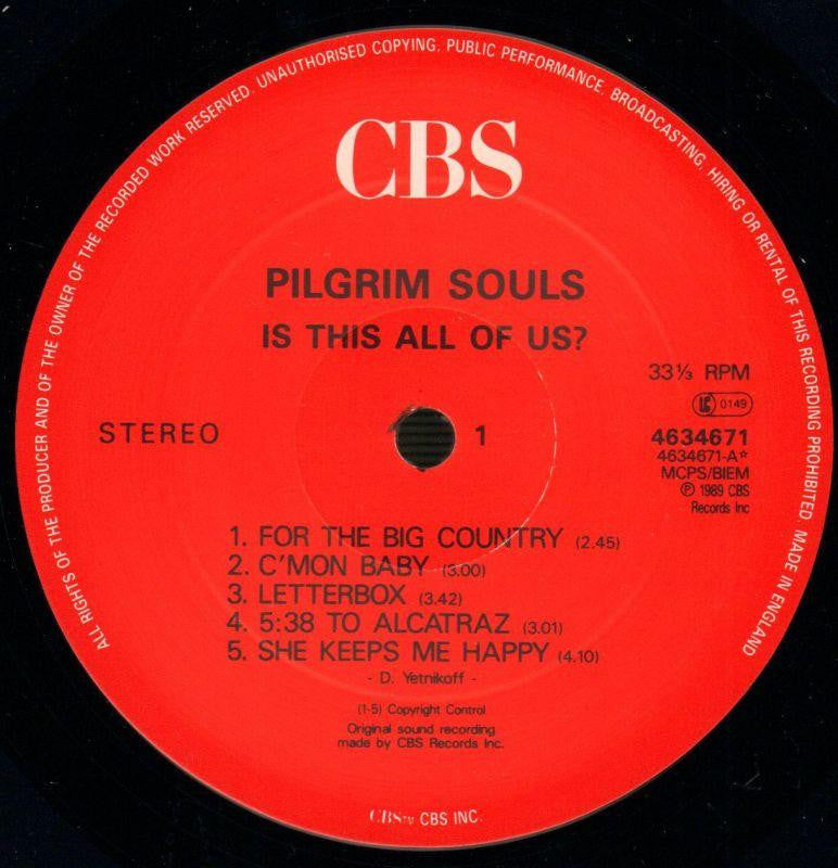 Is This All Of Us-CBS-Vinyl LP-VG+/NM