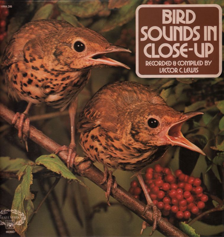 Bird Sounds In Close-Up-Hallmark-Vinyl LP