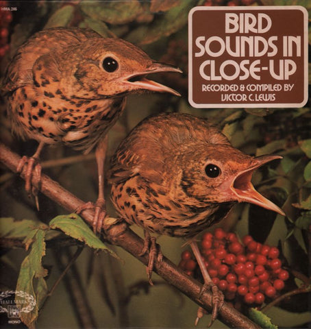 Bird Sounds In Close-Up-Hallmark-Vinyl LP