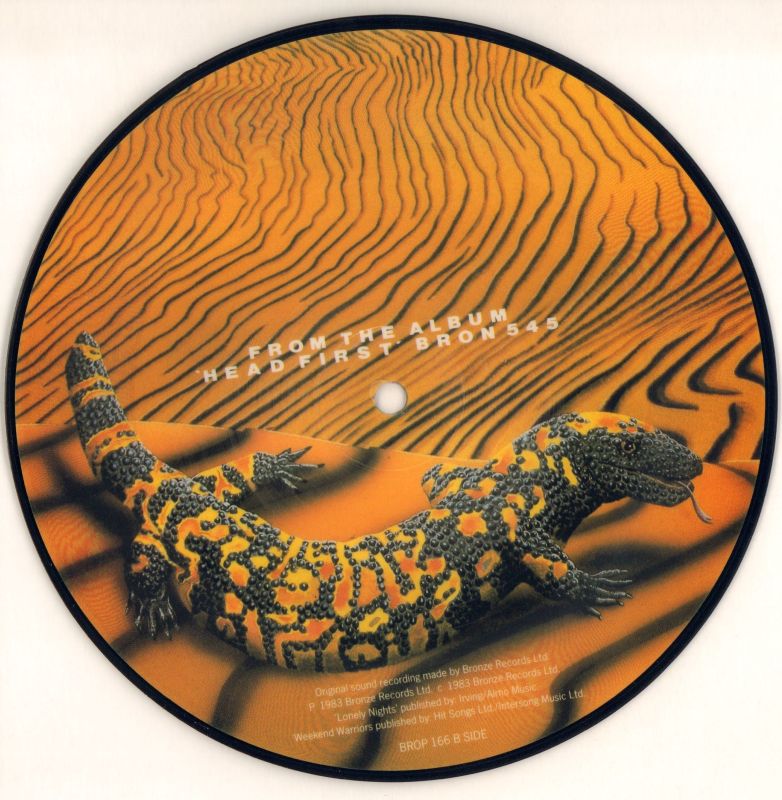 Lonely Nights-Bronze-7" Vinyl Picture Disc-Ex/Ex