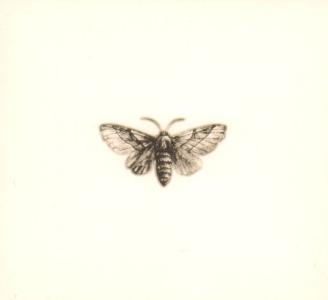 Hello Moth-Infinitely Repeated-CD Album-New
